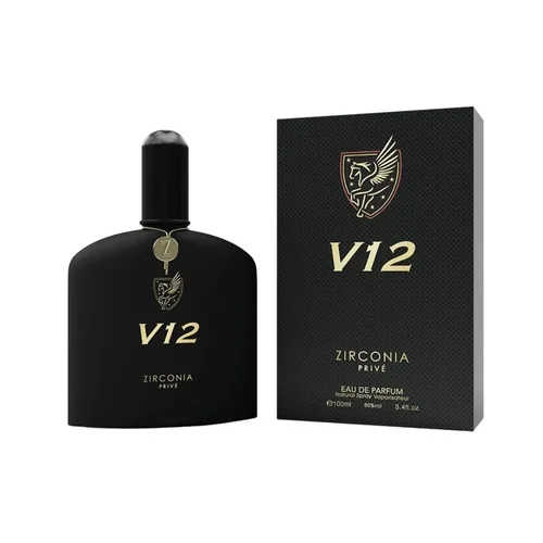 ZIRCONIA V12 100ML