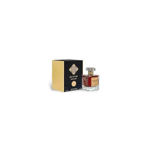 FRAGANCY WORLD PARIS DIVIN AOUD 100ML